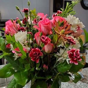 Meet your Posher, Brand Name Diva